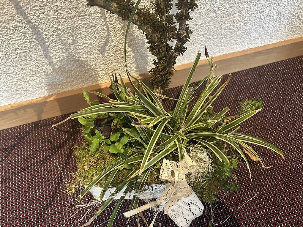Tutte le decorazioni: Arrangement in der Guetzlidose  – Usato da Frauenfeld venduto da Irene.Schuppli 1