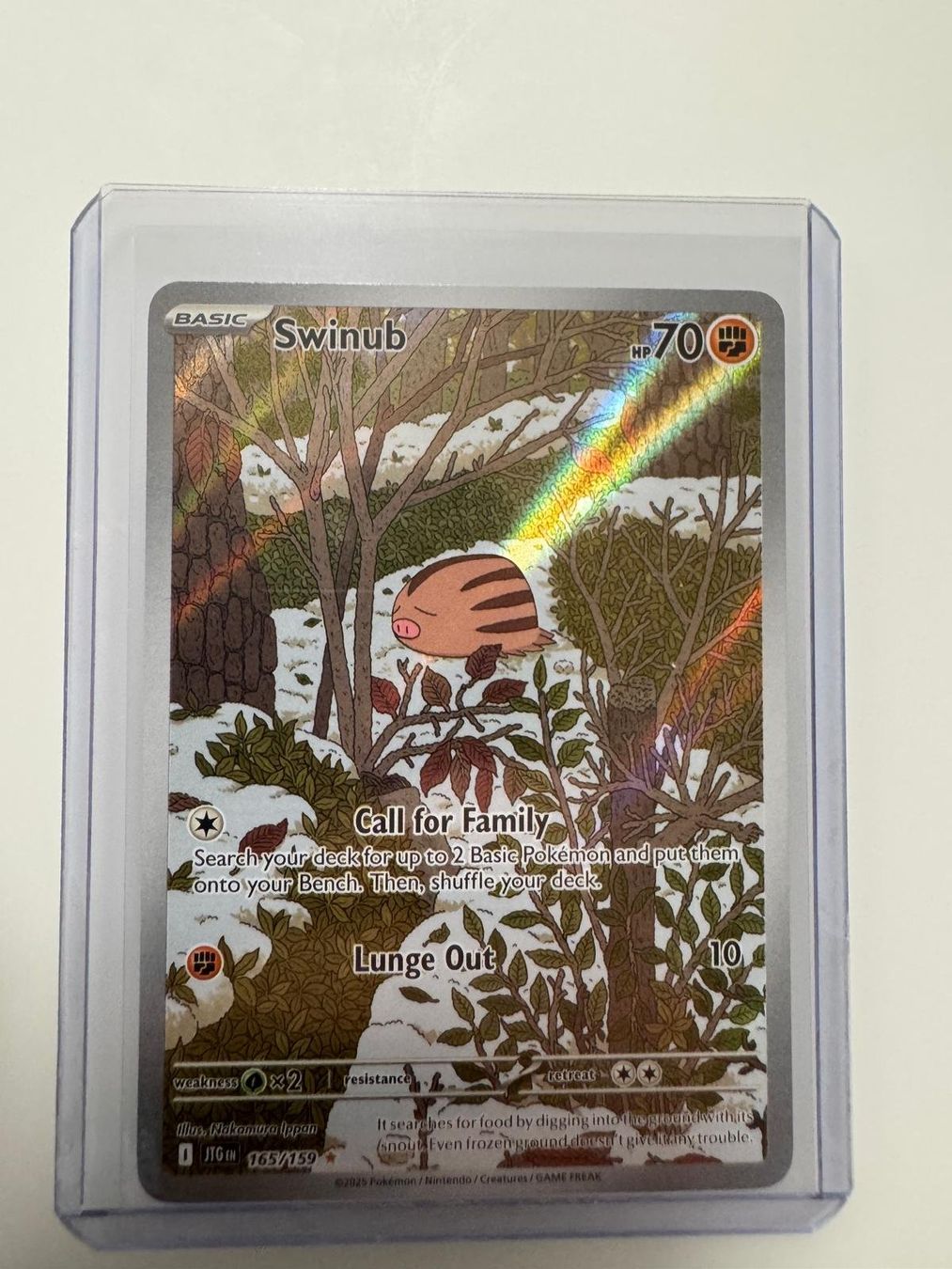 Pokémon Carte collezionabili: Swinub | Illustration Rare | JTG 165/159 | EN – Usato da Spreitenbach venduto da Snacky96