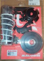 Variator Multivar 2000 Malossi 5111597