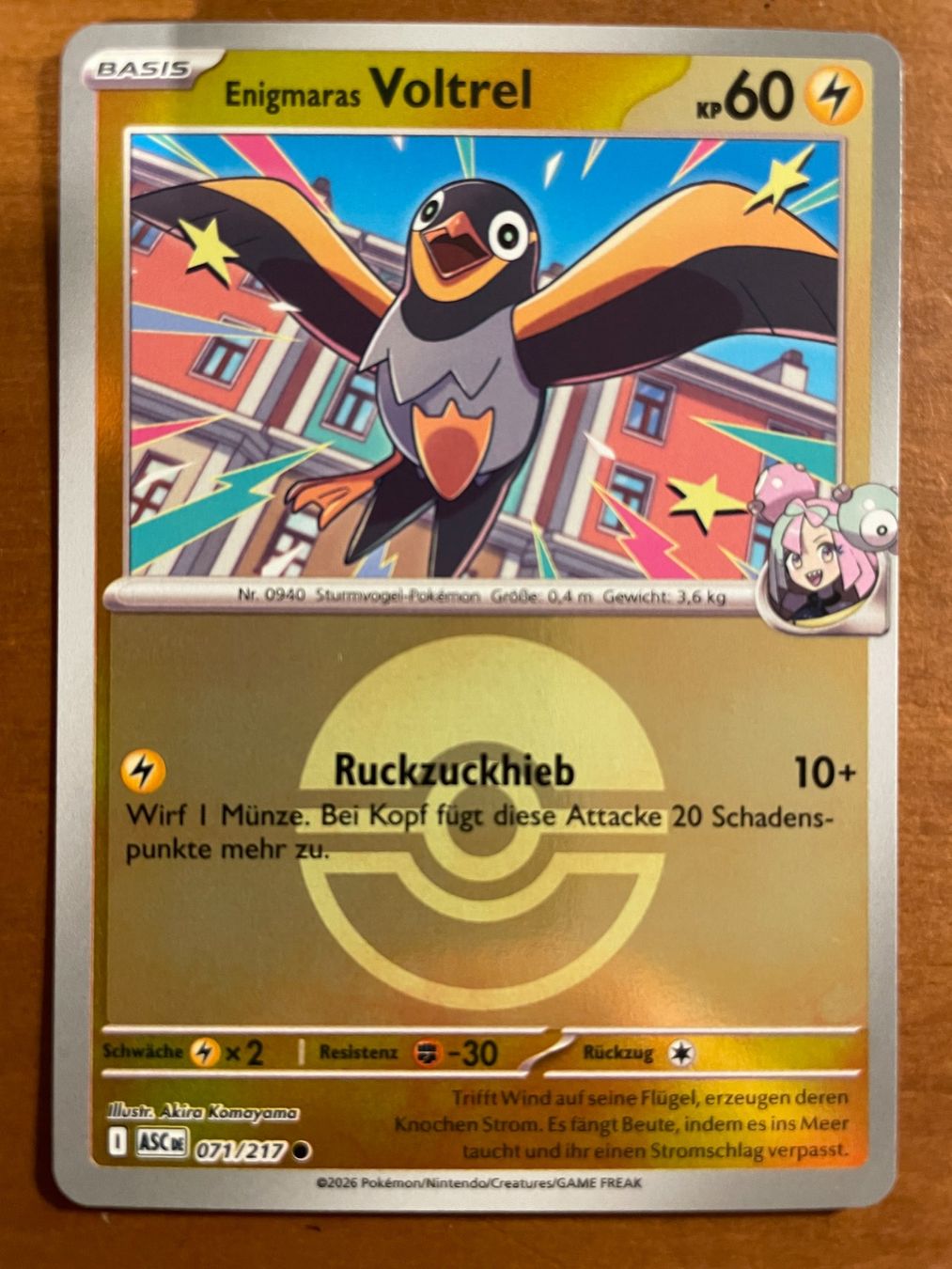 Pokémon Carte collezionabili: Pokemon Enigmaras Voltrel Reverse (Versand gratis) – Nuovo (secondo la descrizione) da Chur venduto da Angerson