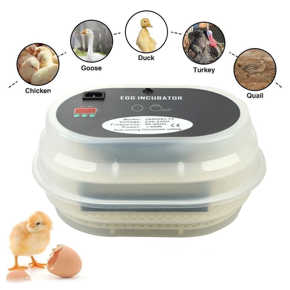 Altro in Accessori per animali: Brutkasten Brutapparat Inkubator 9 Eier – Nuovo (secondo la descrizione) da Thun venduto da Newnewshop 4