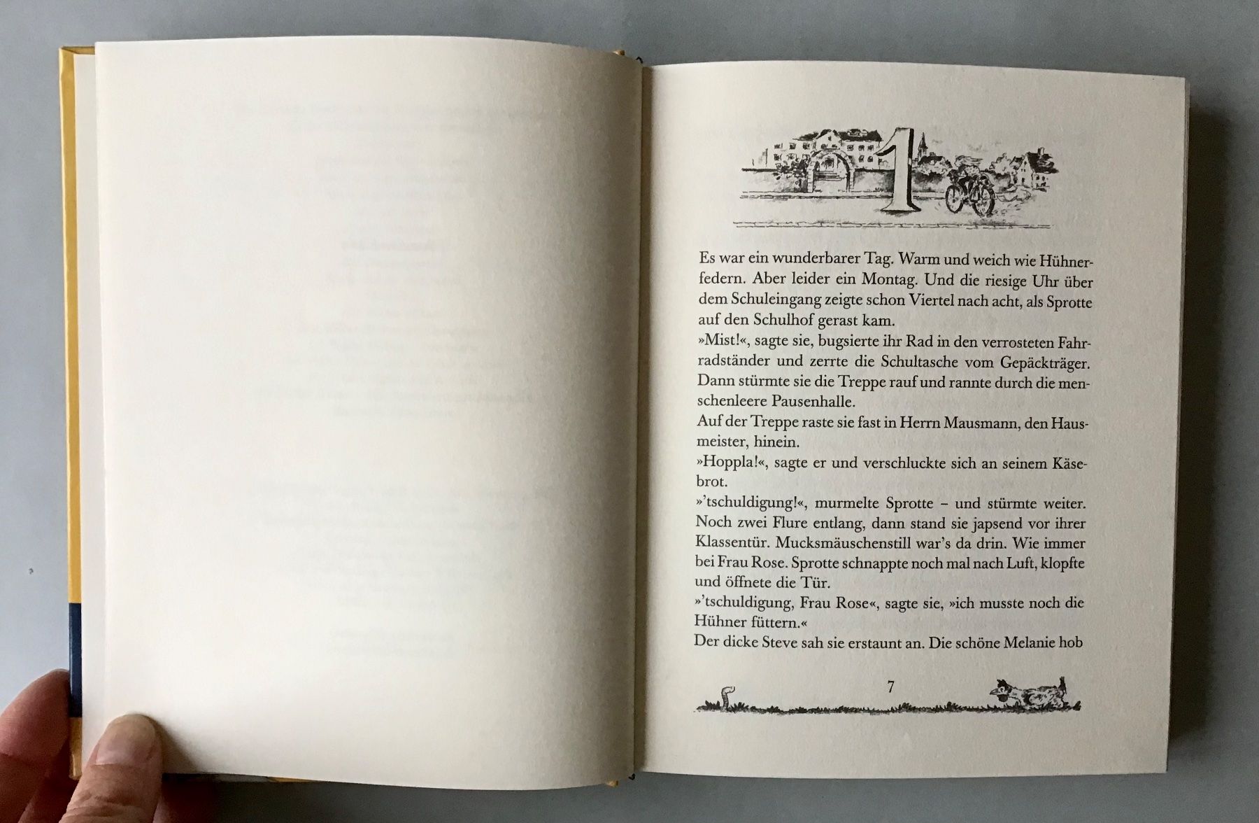 Libri: Die Wilden Hühner - Cornelia Funke – Usato da Bubendorf venduto da Alpenheidi 4
