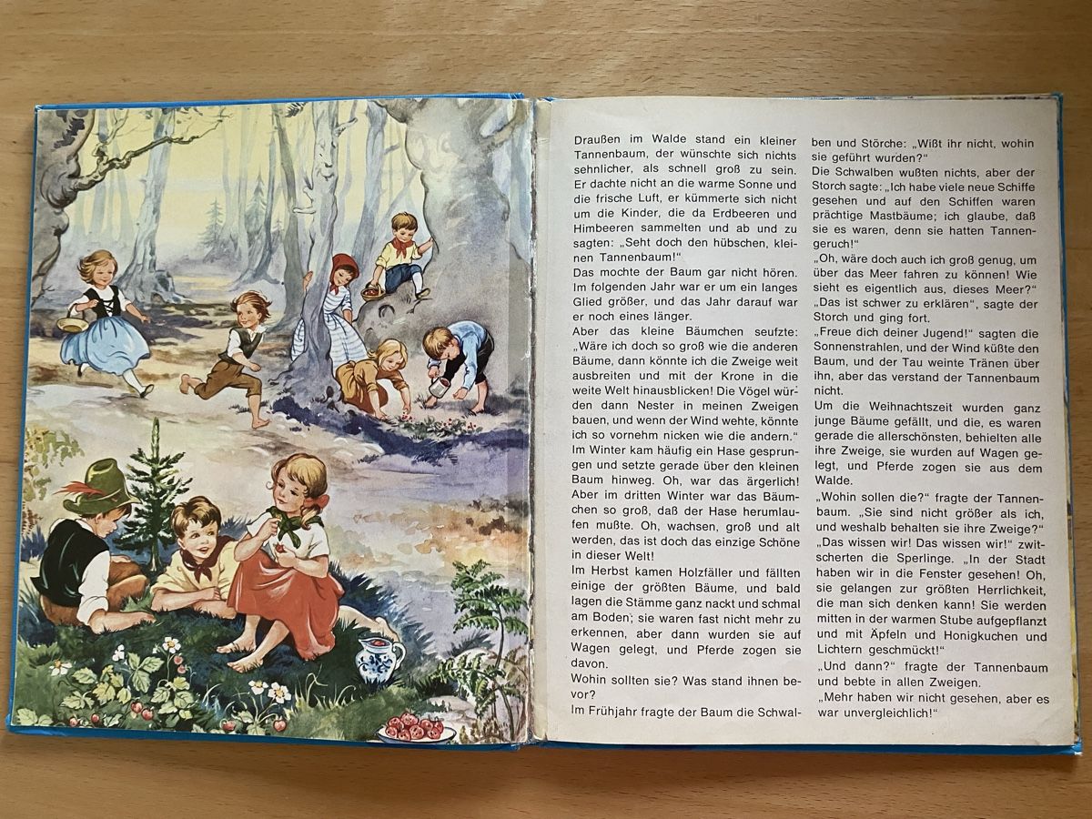 Bücher: Der Tannenbaum - Hans Christian Andersen – Gebraucht aus Schwarzenburg von Michellu 5