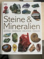 Sachbuch Steine und Mineralien DK Verlag guter Zustand
