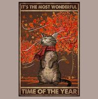 🔥 WONDERFUL TIME Katzen Blechschild 🤎 20x30cm OVP 🔥