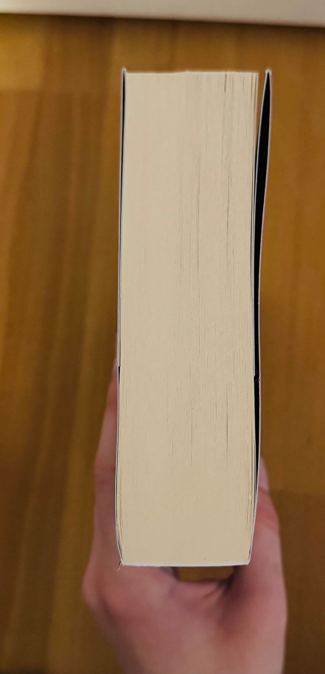 Libri: Vor uns die Dämmerung- B. Celeste – Usato da Bettwil venduto da bellis_perennis_222 3