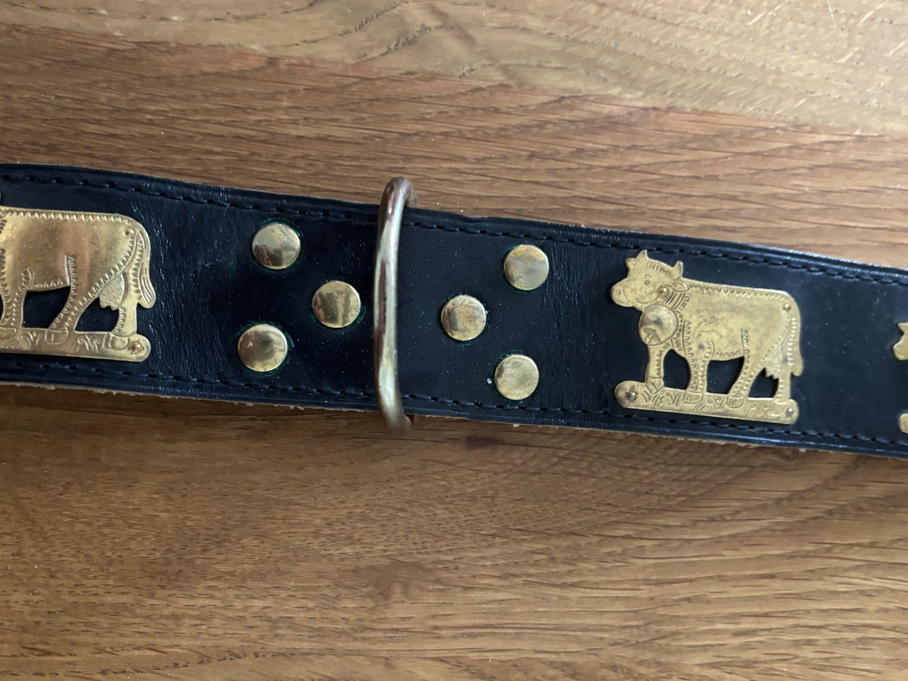 Leine & Halsband: Hundehalsband Appenzeller, 70 – Gebraucht aus Guntershausen von Herbie8357 2