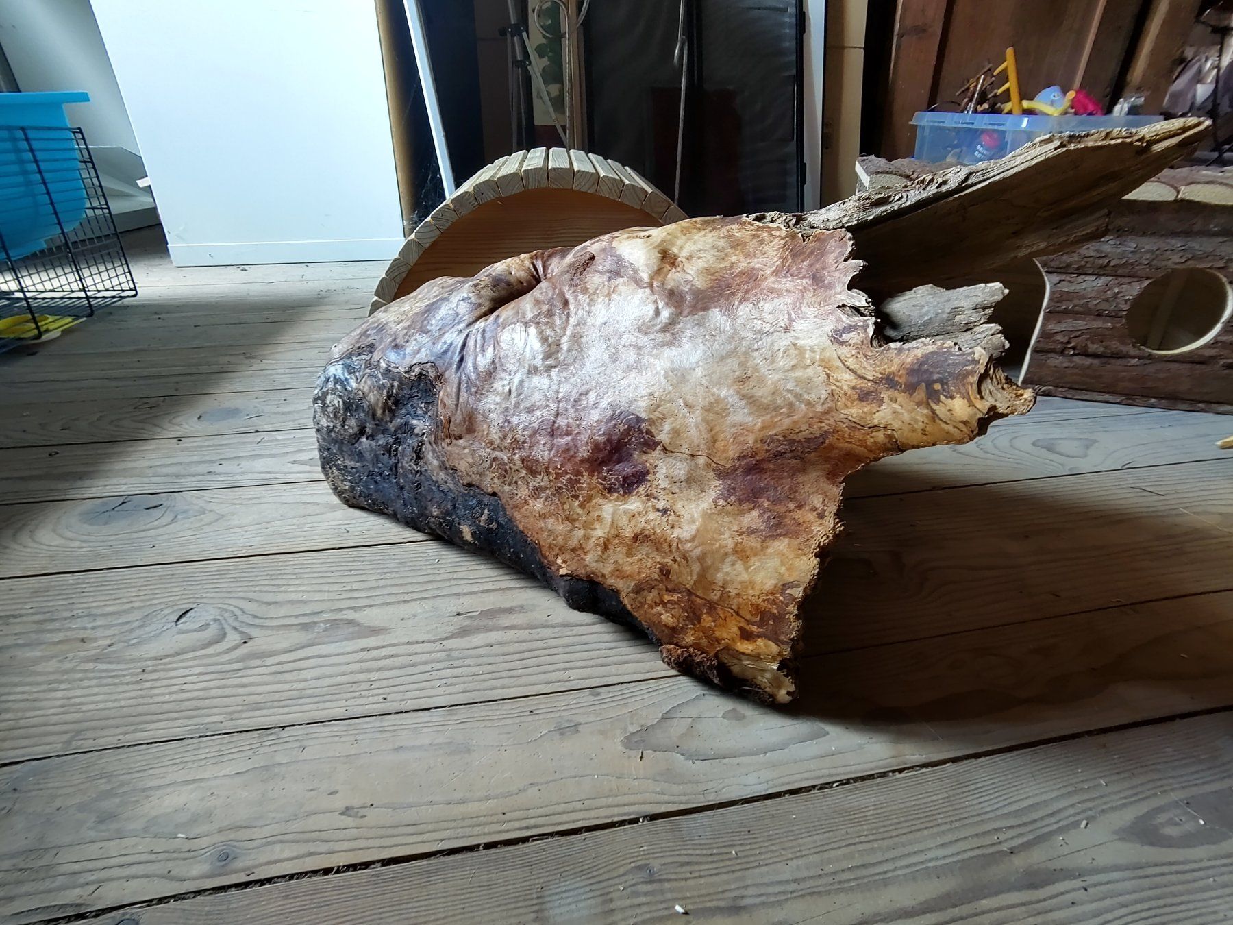 Articoli in legno: Nagetierhäuschen – Usato da Wagenhausen venduto da sar_jz98 8