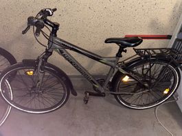Velo