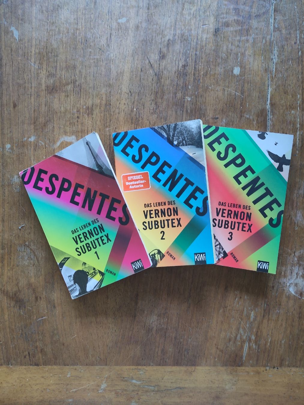 Libri: Despentes: Das Leben des Vernon Subutex 1 - 3 – Usato da Biel/Bienne venduto da Felix_Felicis
