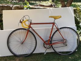 OLMO Rennvelo Grösse 53 cm