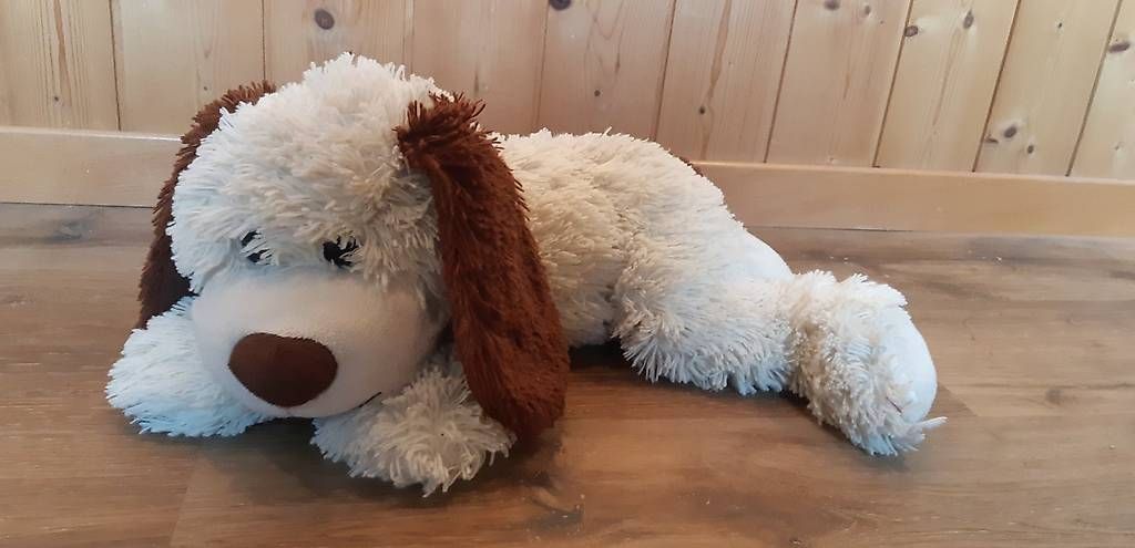 Giocattoli: Ein kleiner und ein grosser flauschiger Hund – Usato da Rütihof venduto da ali_9tbw