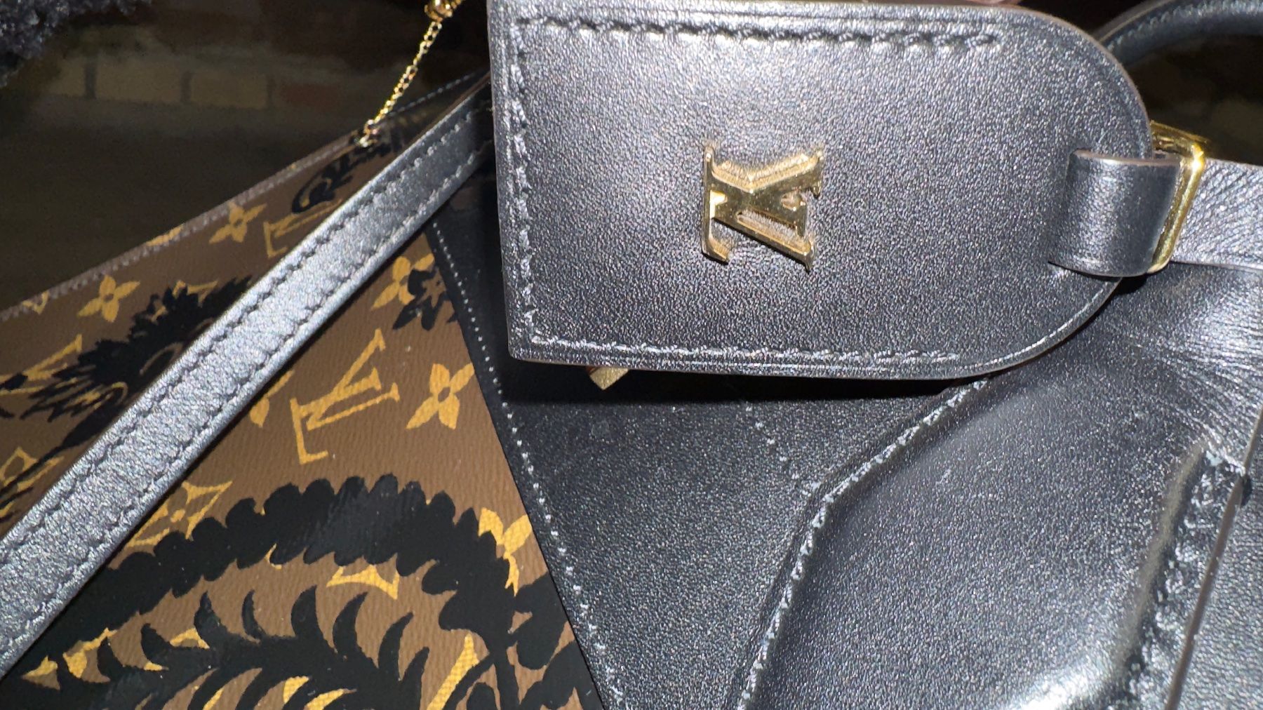 Louis Vuitton Borse: Louis Vuitton Limited Edition – Nuovo (secondo la descrizione) da Münchenbuchsee venduto da TemiAp 6