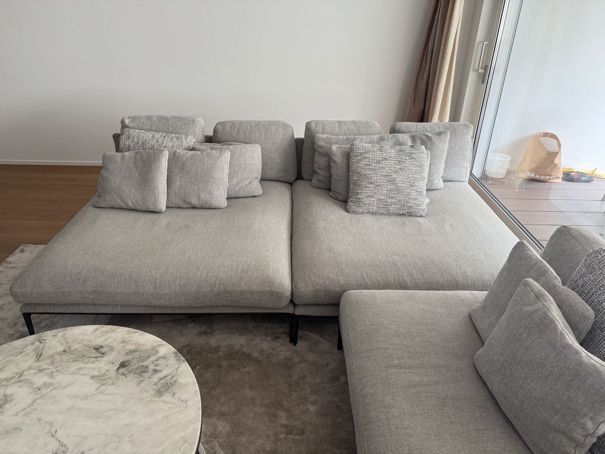 Divani: B&B ITALIA  SOFA – Usato da Ebikon venduto da mid_gbs6 4