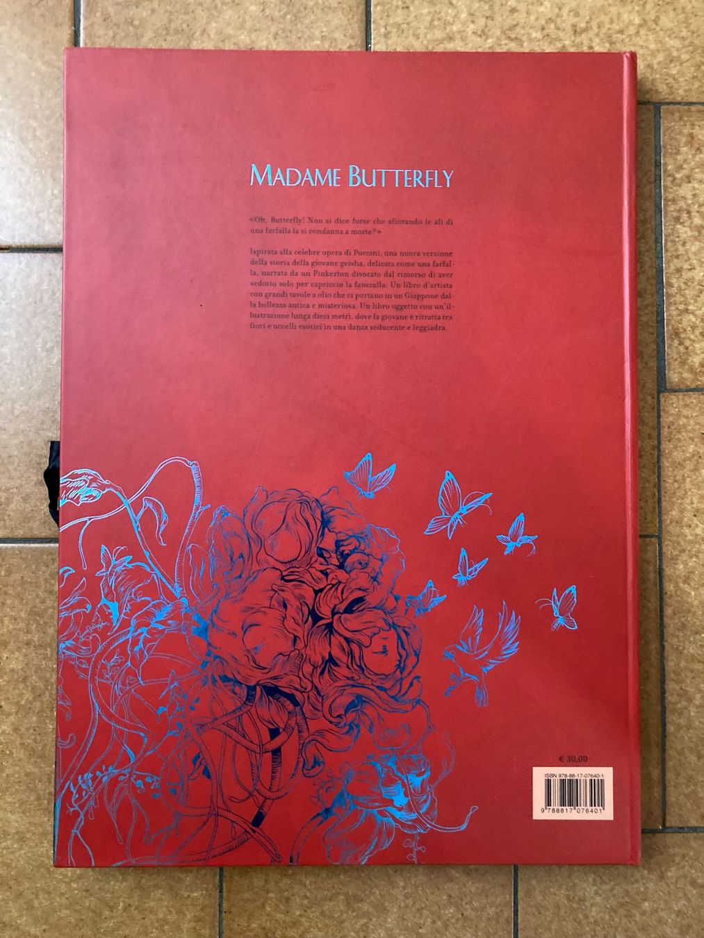 Libri: Madame Butterfly - Benjamin Lacombe – Usato da Minusio venduto da moi_2t58 1