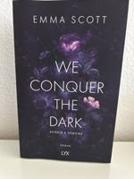 We conquer the Dark