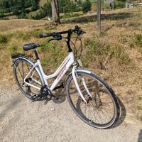 Fahrrad Grösse M 160-175 