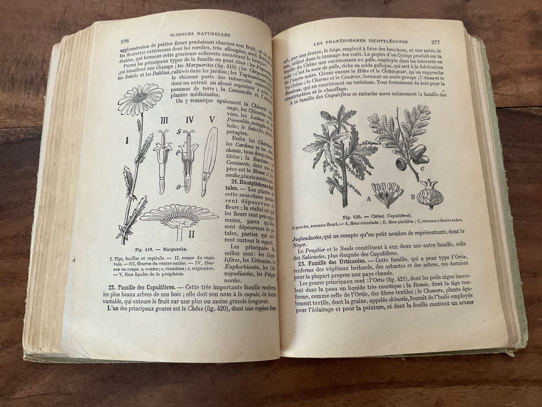 Libri: Sciences Naturelles du Brevet Élémentaire, Édition 1935 – Usato da Avenches venduto da Zurcal 3