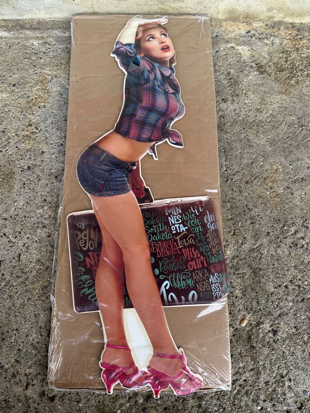 Schilder: Pin up koffer 50s 60s – Neu (gemäss Beschreibung) aus Reinach AG von rares75
