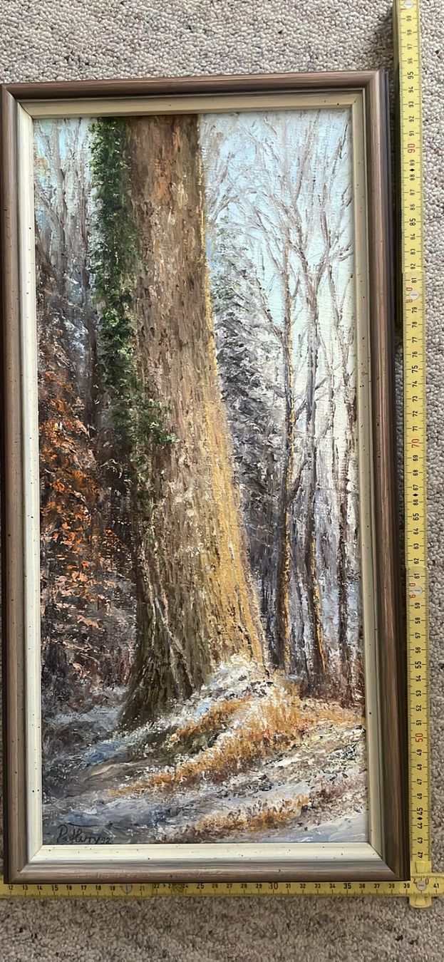 Dipinti: Bild David Flury – Usato da Mollis venduto da haemmis2009 3