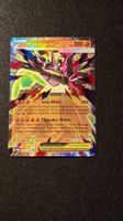 *Pokémon Mega-Zygarde ex* Holo-Karte 047/088