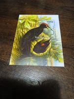 Timbre du Bénin - Pic Noir - Ornithologie - 750F 🐦‍⬛ 