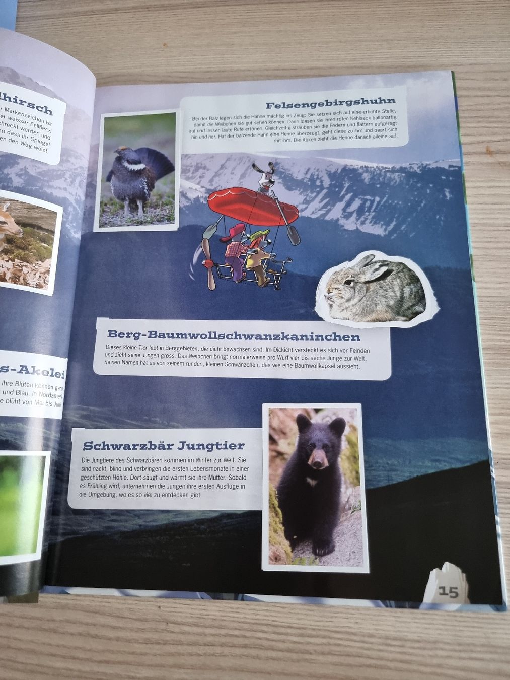 Libri: Lilibiggs Mountain Mania Abenteuer Bergwelt – Usato da Luzern venduto da Luzern_Energy 2