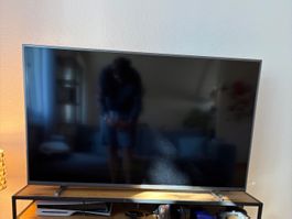 Philips 50 Zoll 4K UHD LED mit Ambilight