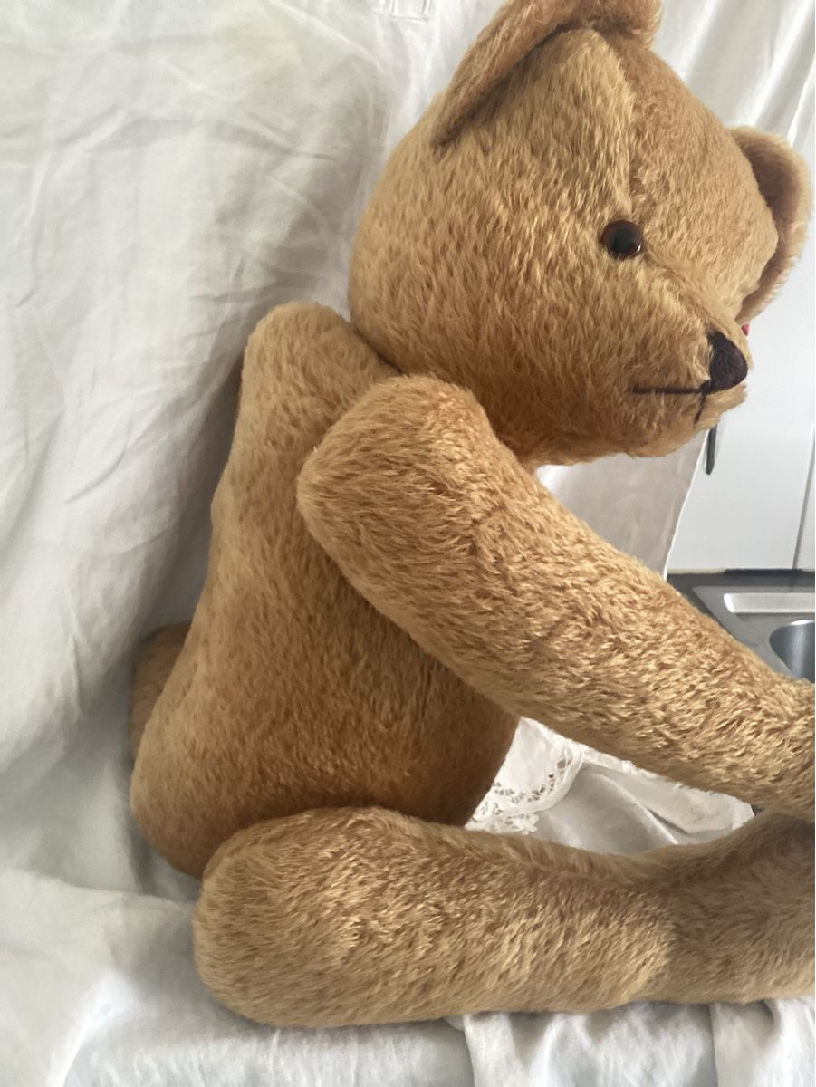 Jouets: ALTER TEDDY – D'occasion à Münchenstein par NoSu98 1