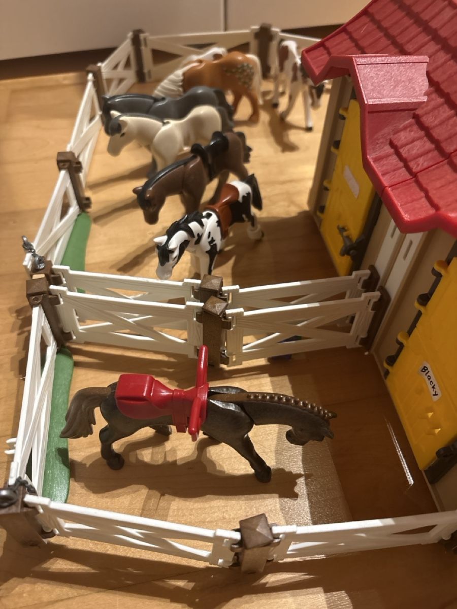 Playmobil Giocattoli: Playmobil Pferdewelt – Usato da Nottwil venduto da wasserlufterde 2