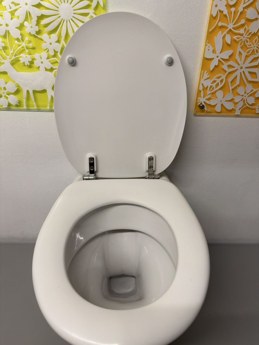 Villeroy & Boch Ciotole: WC Schüssel  Villeroy & Boch – Usato da Adligenswil venduto da goverla11 4