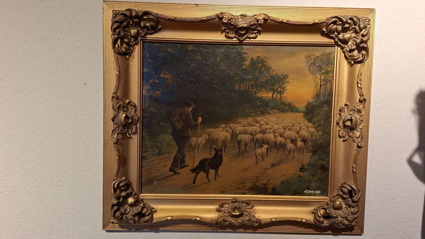 Foto & Immagini: Bild mit Schafherde im goldenen Rahmen – Usato da Weiningen ZH venduto da Annakatharina 1