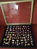 Pins Sammlerstücke  88 Stück inkl. Vitrine