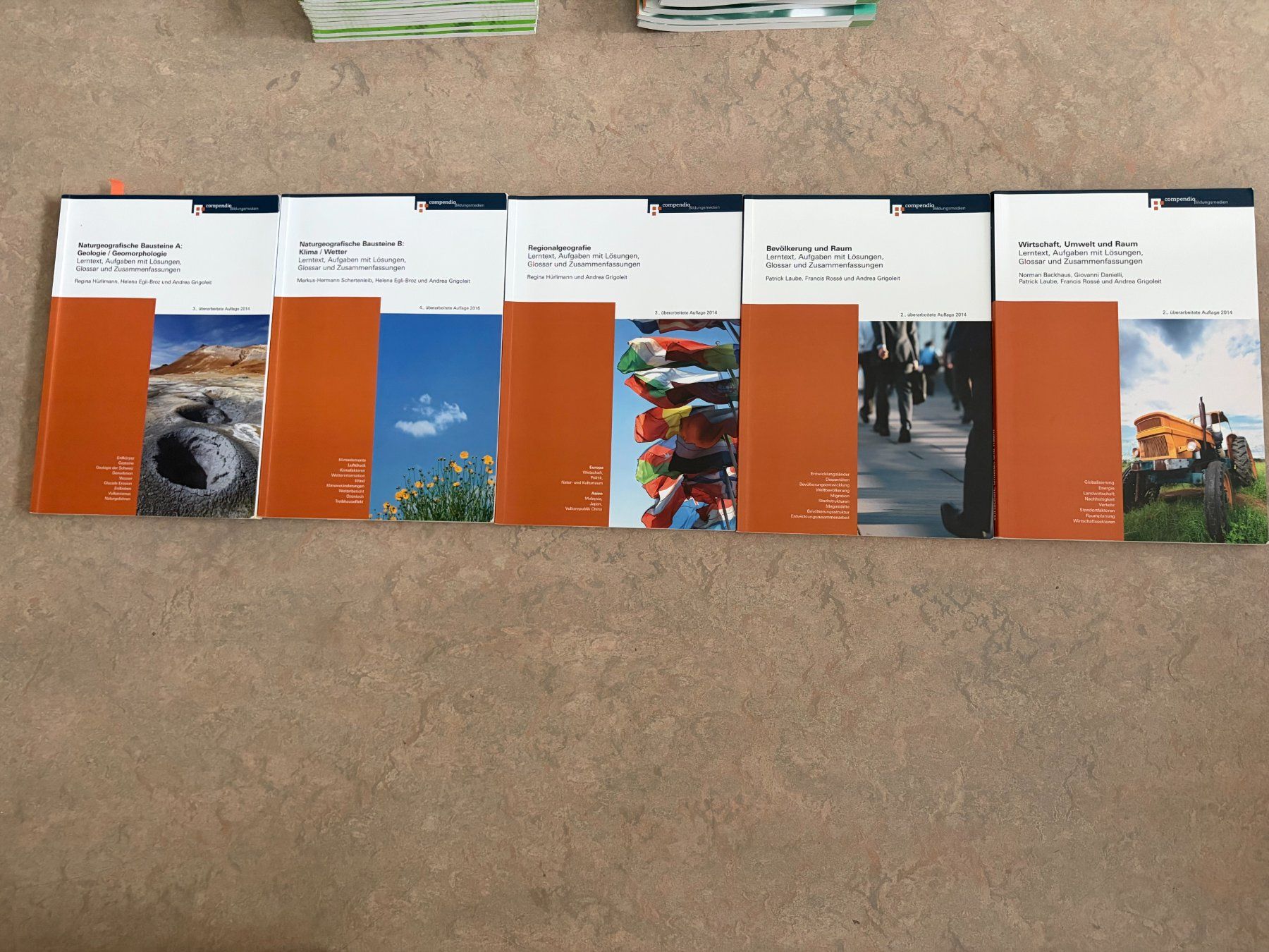 Libri: Lehrmittel Passerelle – Usato da Wettingen venduto da lev_9txp 6