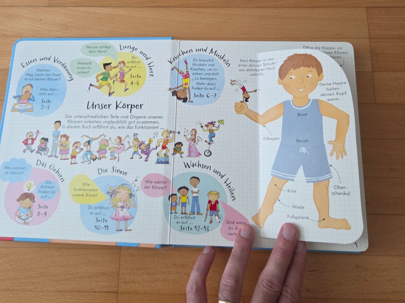 Libri: Dein Körper - mit über 100 klappen – Usato da Wallisellen venduto da SwissTreeDee 6