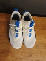 Nike Air Max Gr 39 Weiss/Blau - Top Zustand!