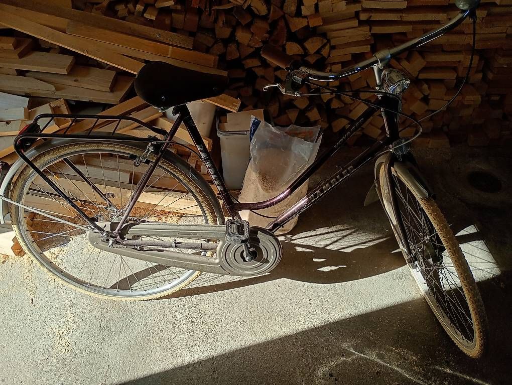 Biciclette: Rambler velo vintage 1980 – Usato da Cazis venduto da Vinyloo