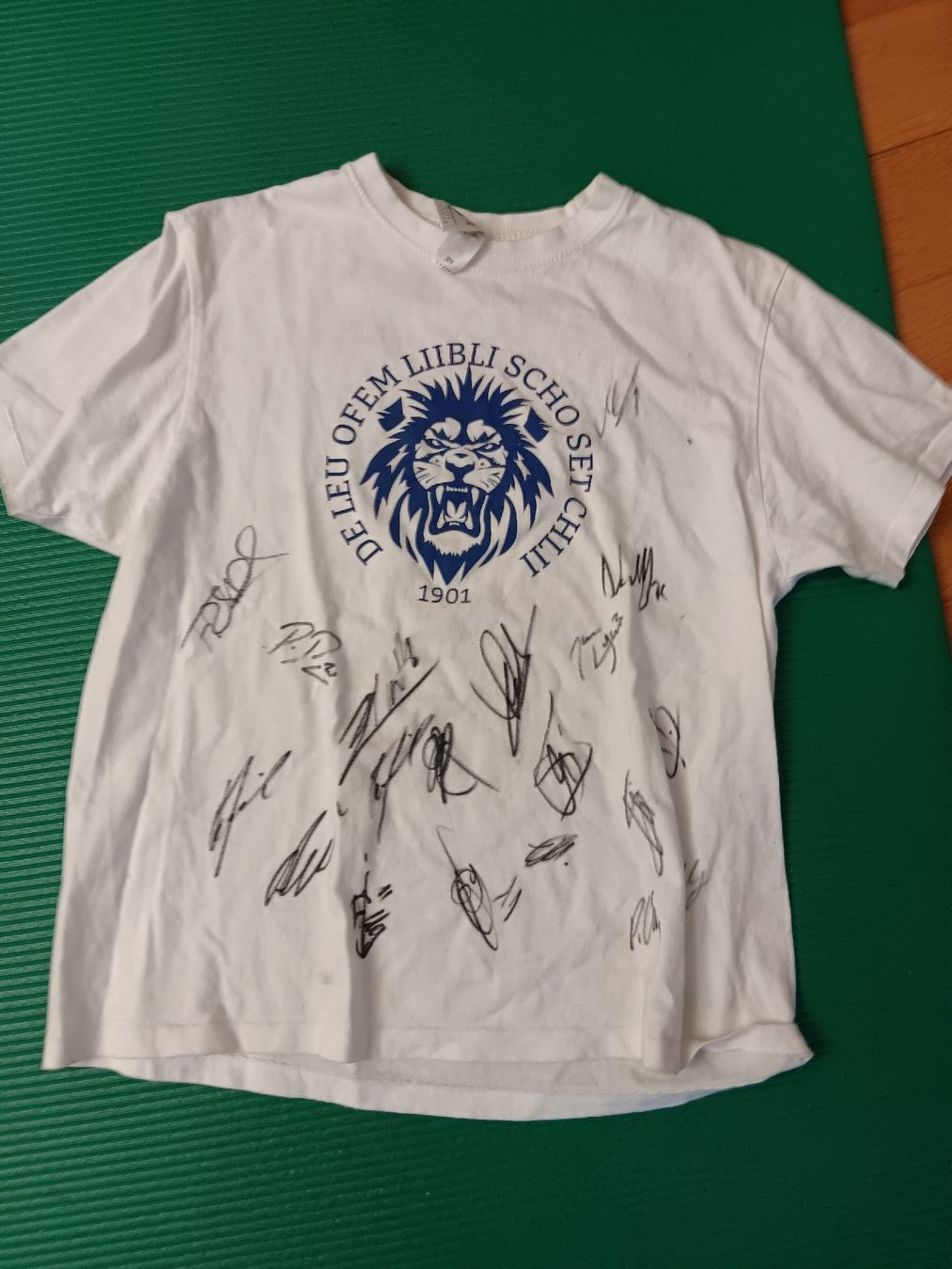 Scarpe, pantaloni & magliette da ginnastica: Fcl trikot fan trikot – Usato da Luzern venduto da Gegi5