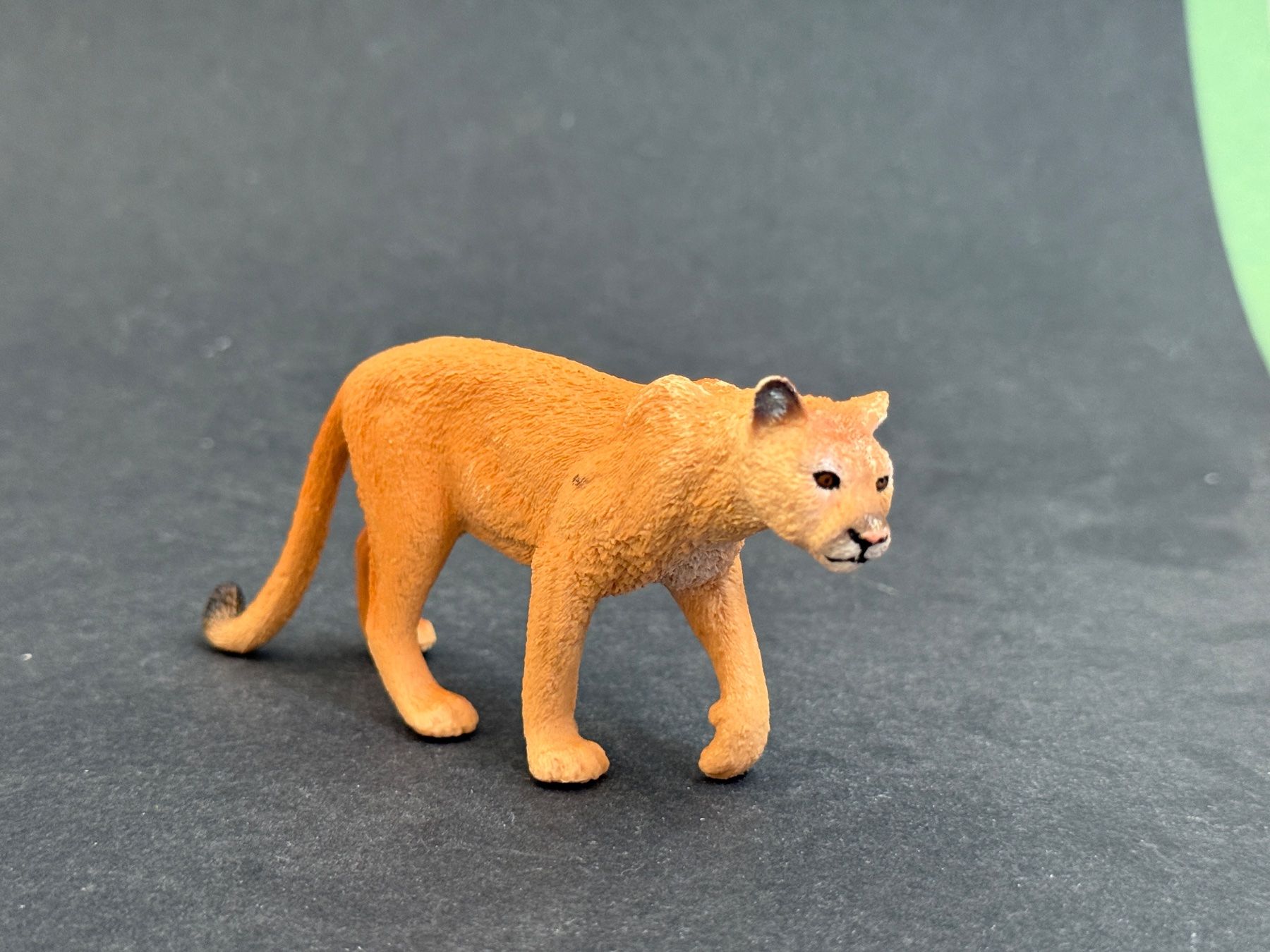 Schleich Statuette: Schleich Grosskatzen Leopard Gepard Schwarzer Panther – Usato da Ennetbaden venduto da mapa05 3
