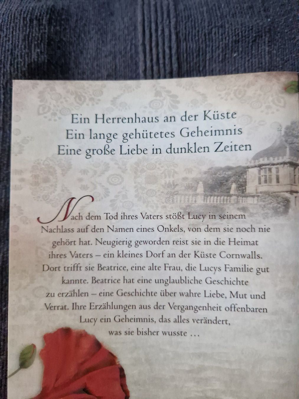 Libri: Rachel Hore Das Bienenmädchen – Usato da Neuhausen am Rheinfall venduto da Alchimista 1