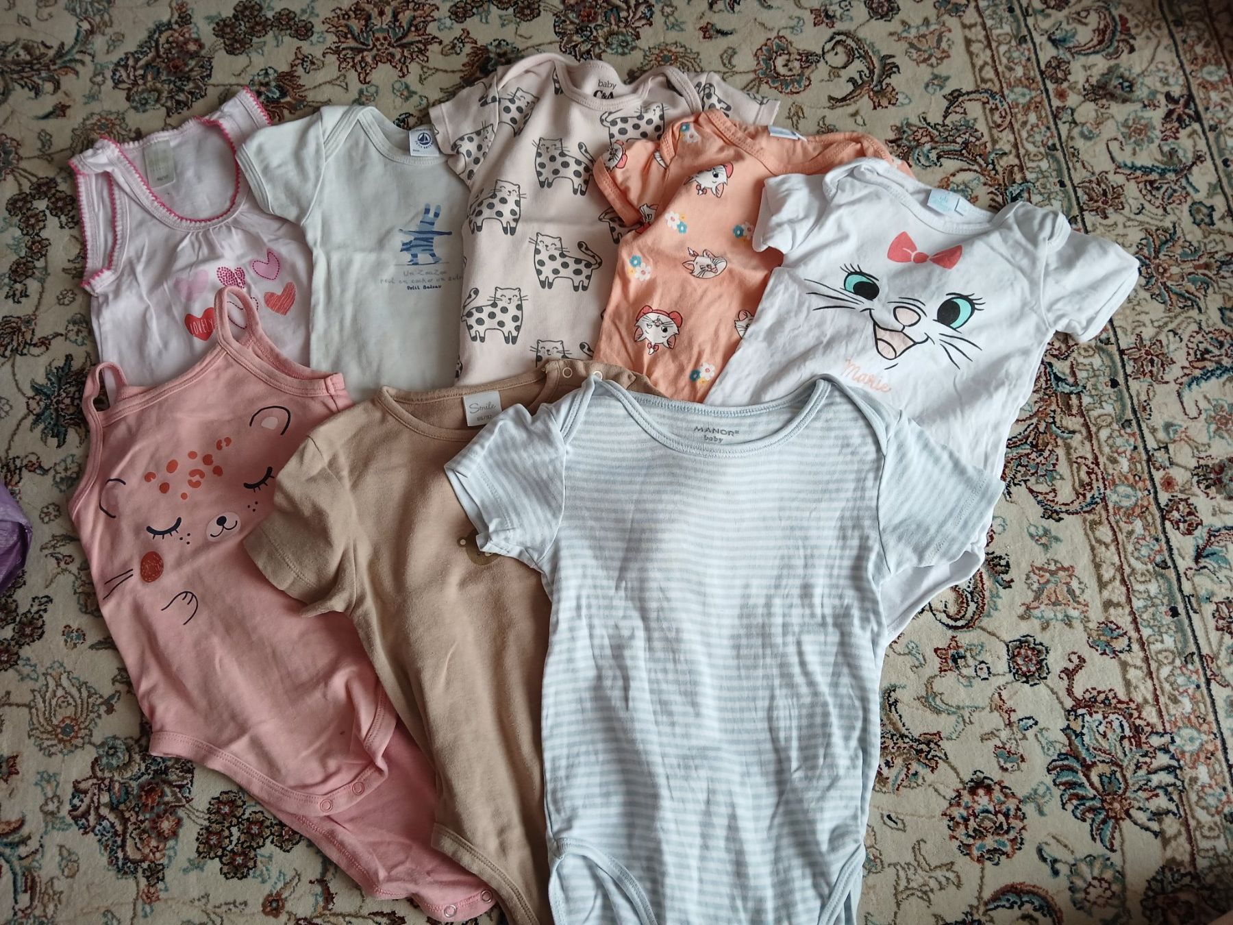 Lotti & Set di vestiti: Kurzarm Bodies Gr. 80/92 – Usato da Bremgarten AG venduto da Finoae