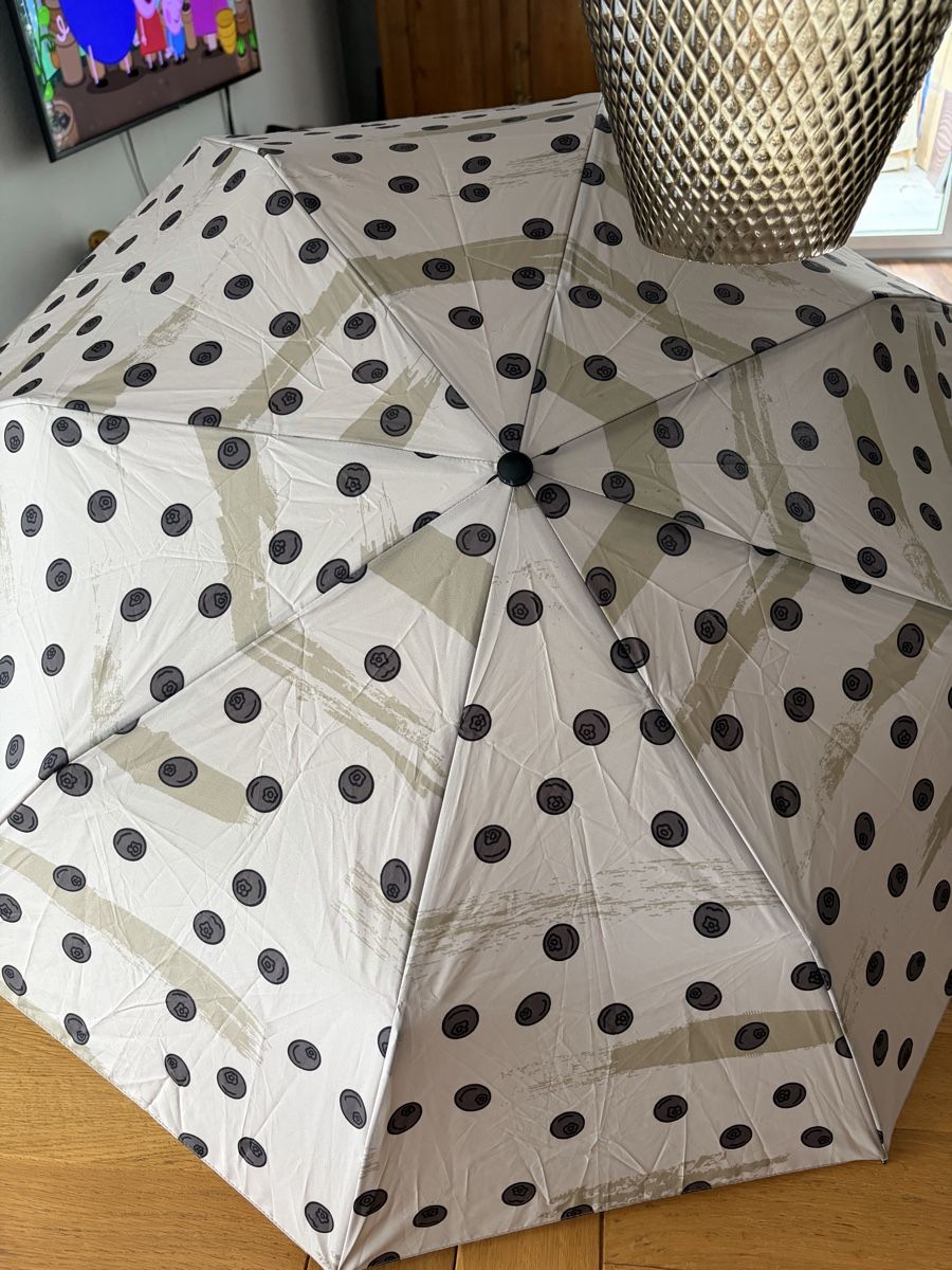 Regenschirme: Mini-Taschenschirm mit Blaubeeren – Gebraucht aus Lützelflüh-Goldbach von Jungle_Julia 2