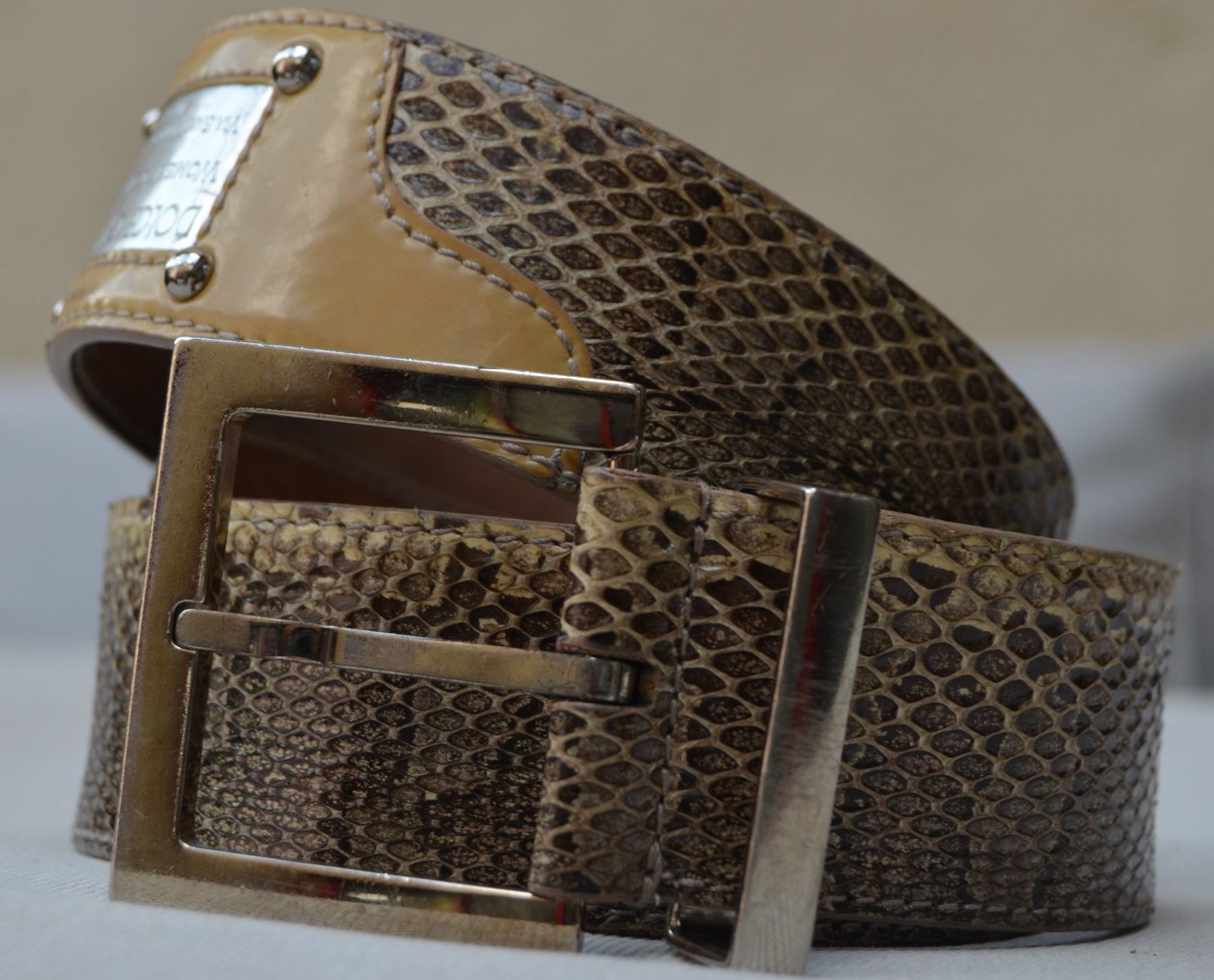 Dolce & Gabbana Gürtel: Dolce & Gabbana Python  Gürtel / ceinture – Gebraucht aus Collonges von arashee 1