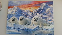 Puzzle Ravensburger Robben 300 Teile 49x36 cm 