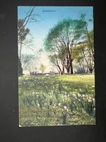 Anssichtsarte Zürichhorn koloriert 1900   (V329)