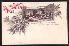 Litho St. Gallen, Kuranstalt auf der Wai