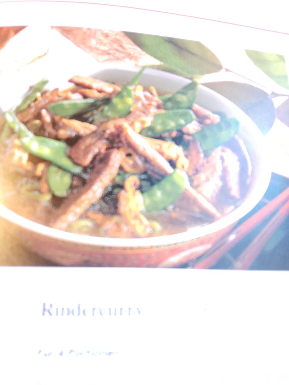 Libri: Kochen mit dem Wok – Nuovo (secondo la descrizione) da Volken venduto da katz5 3