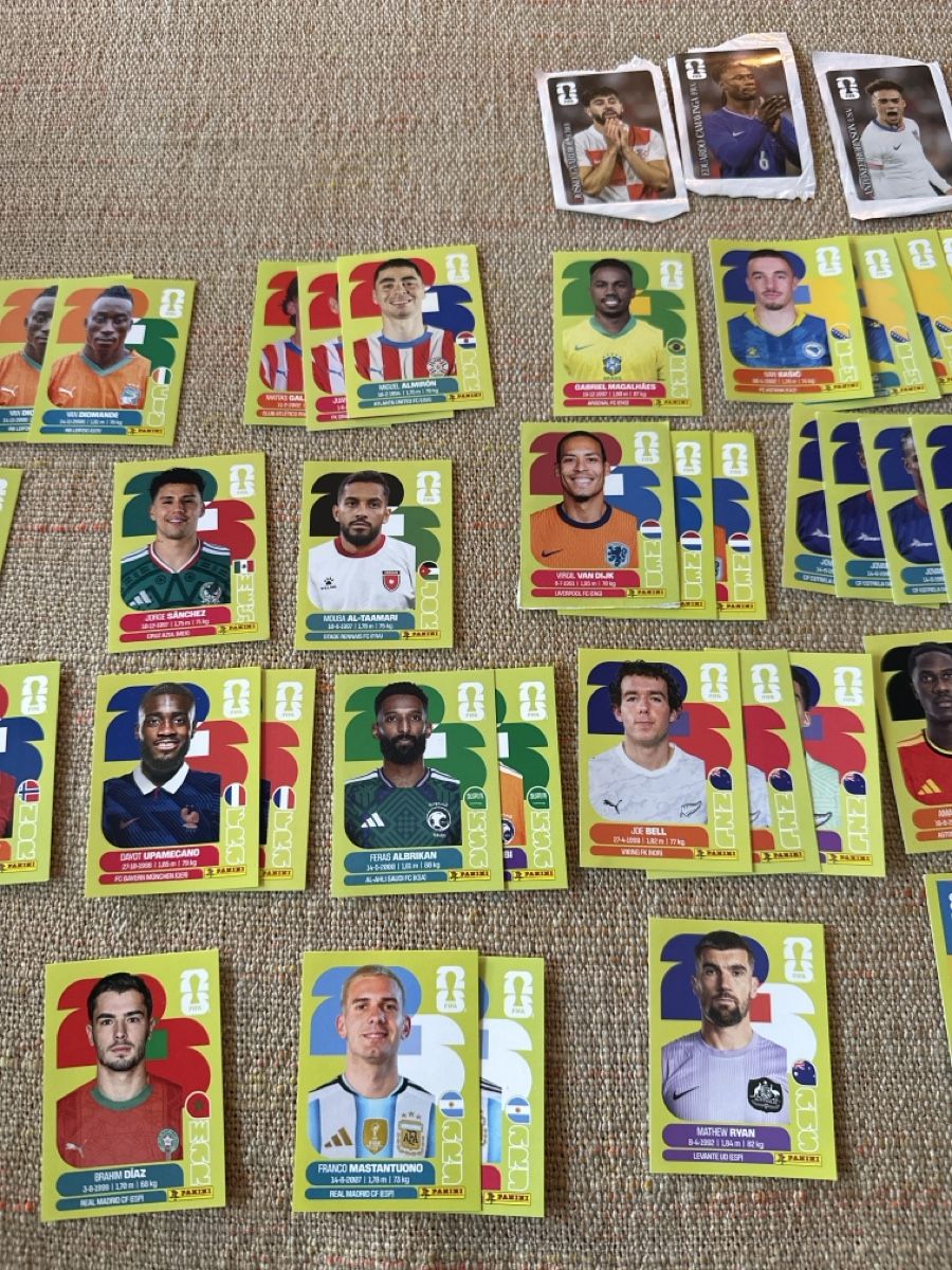 Panini Carte collezionabili: Panini Bilder inkl Cola Bilder – Nuovo (secondo la descrizione) da Biberstein venduto da Anka01 2