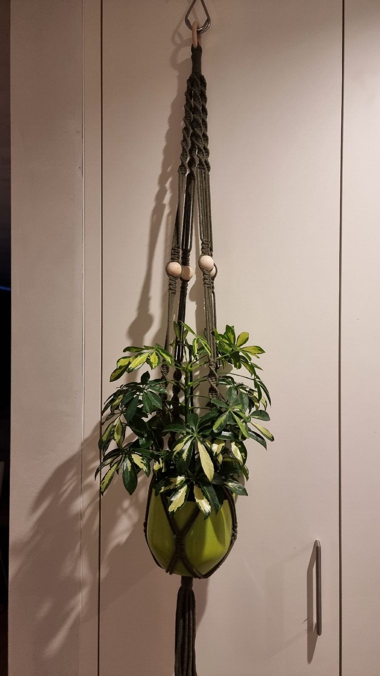 Tutte le decorazioni: Blumenampel handgeknüpfte  – Nuovo e nell'imballaggio originale da Balgach venduto da Patty04