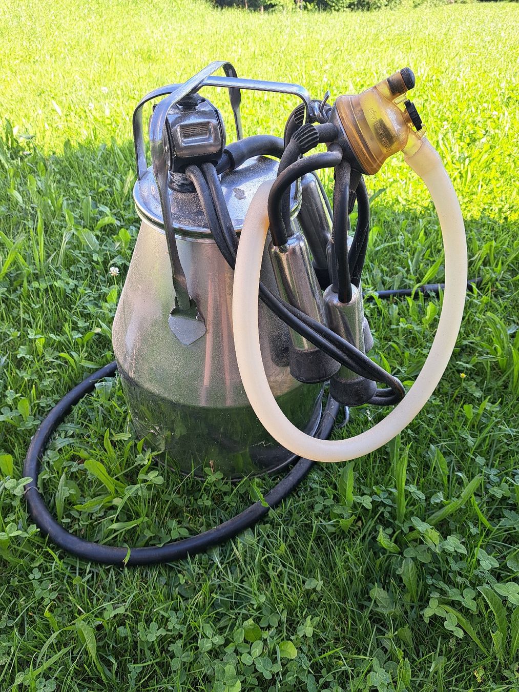 Autres articles pour la maison: Melkmaschine/Eimer – D'occasion à Rieden SG par Sirene6